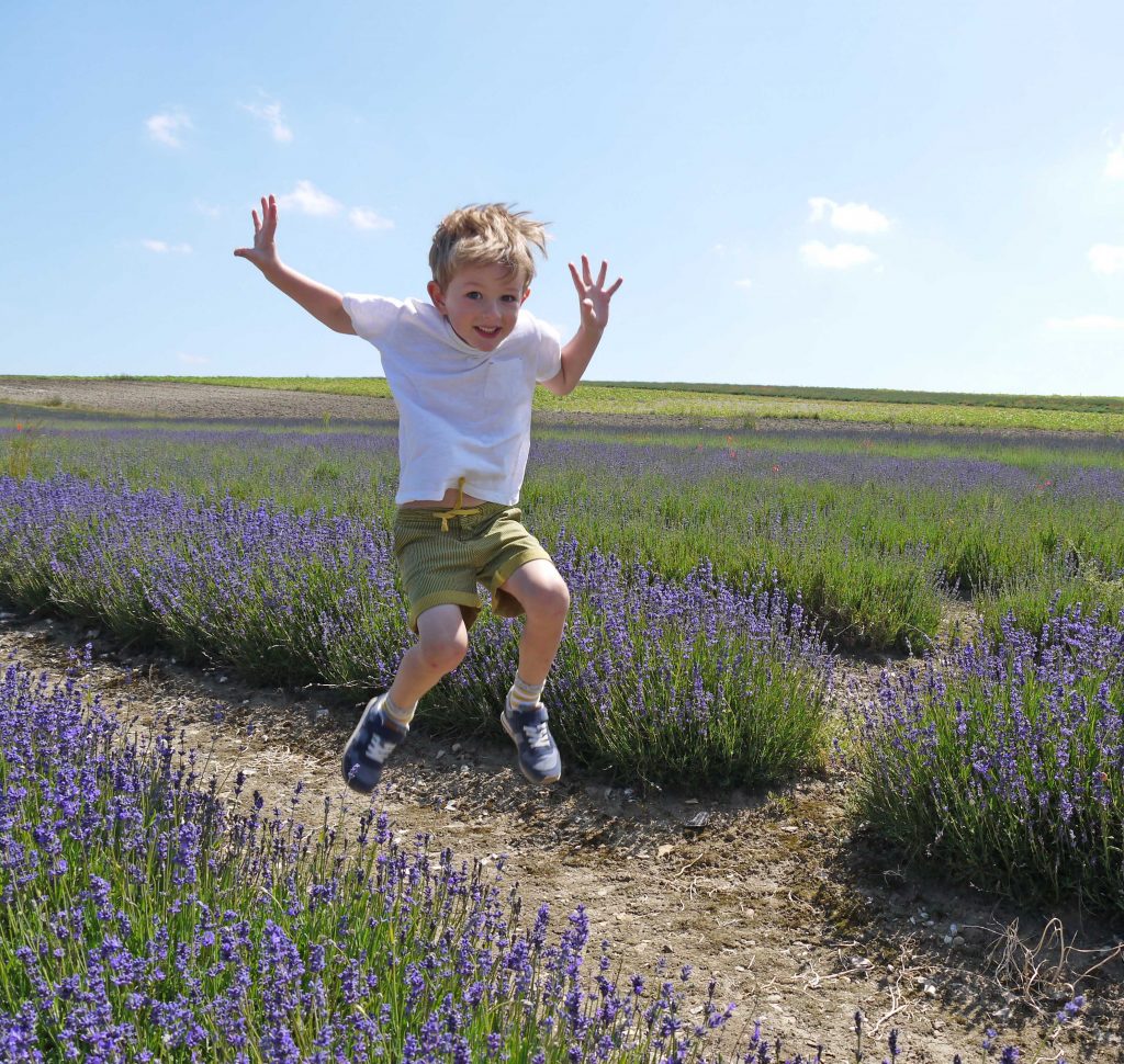 days out at hitchin lavender fields with kids
