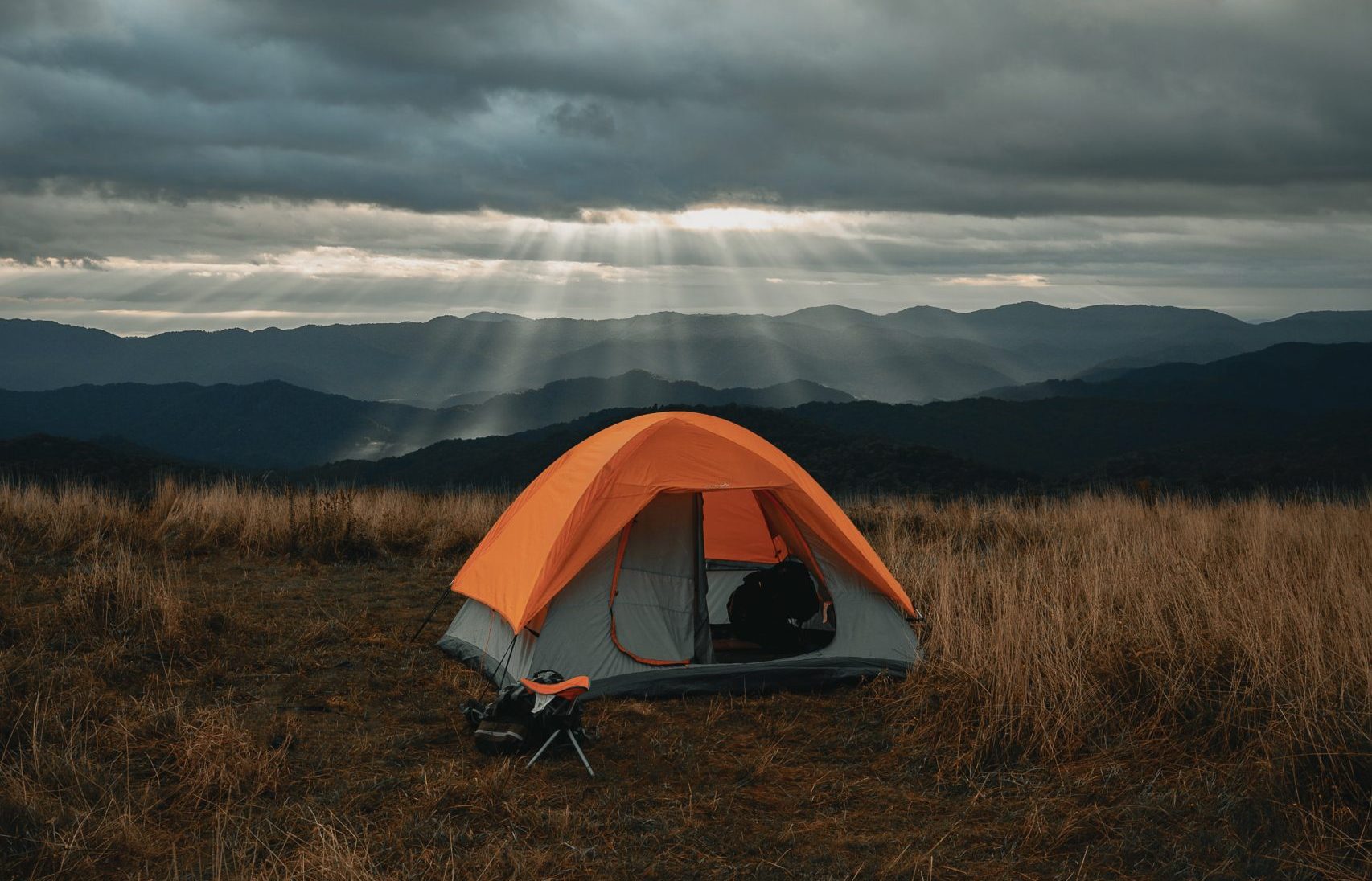 Gone Wild Festival: Expert Tips for Stress-Free Camping with Kids