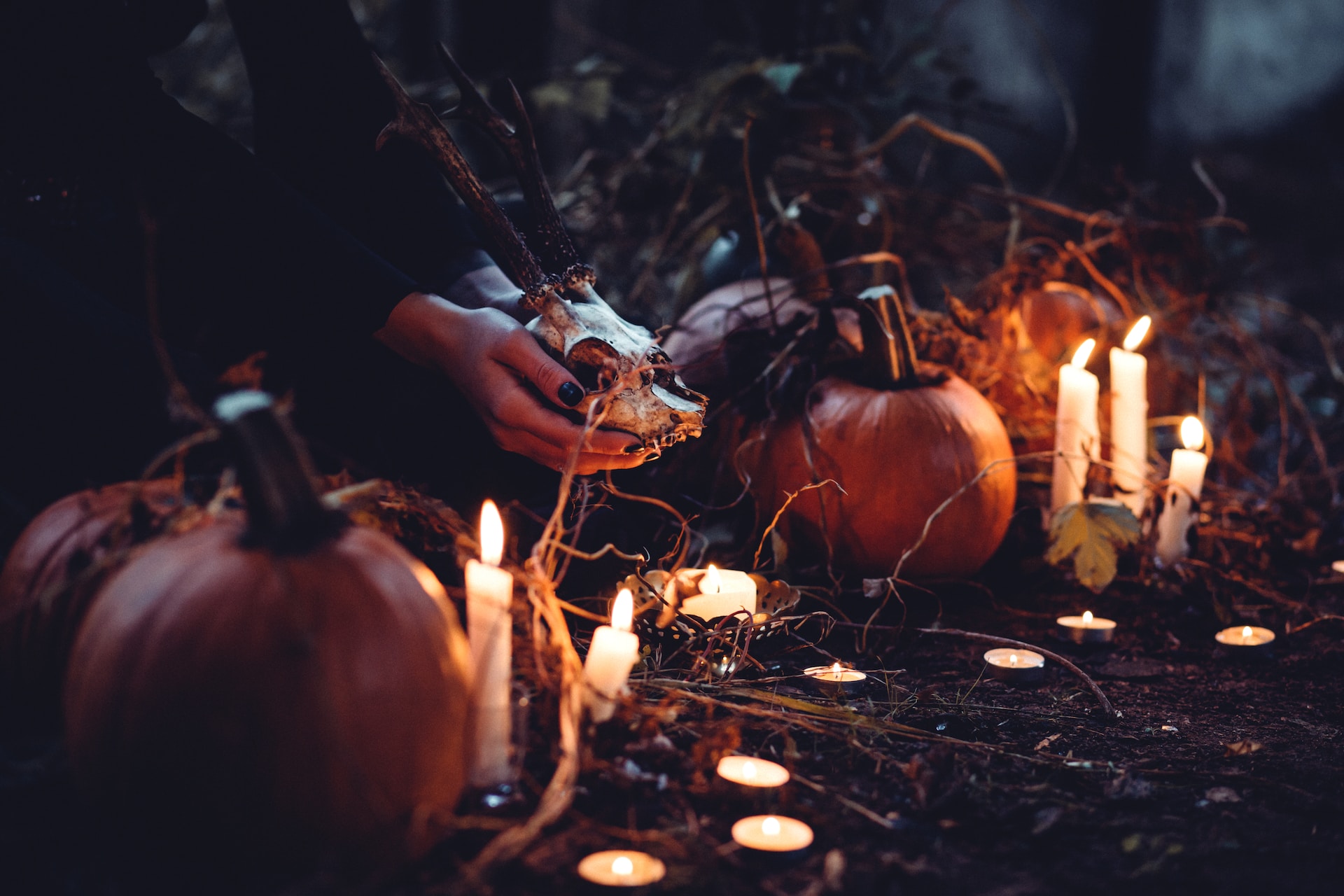 Autumn Date Ideas in Cambridge: From Pumpkin Picking to Creepy Cabarets