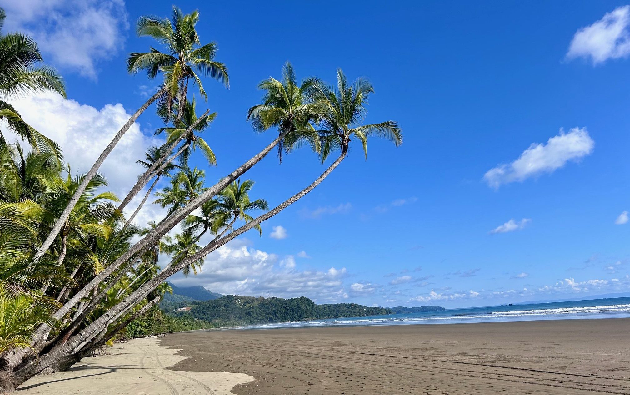 Discovering the Beauty of Solo Holidays in Costa Rica