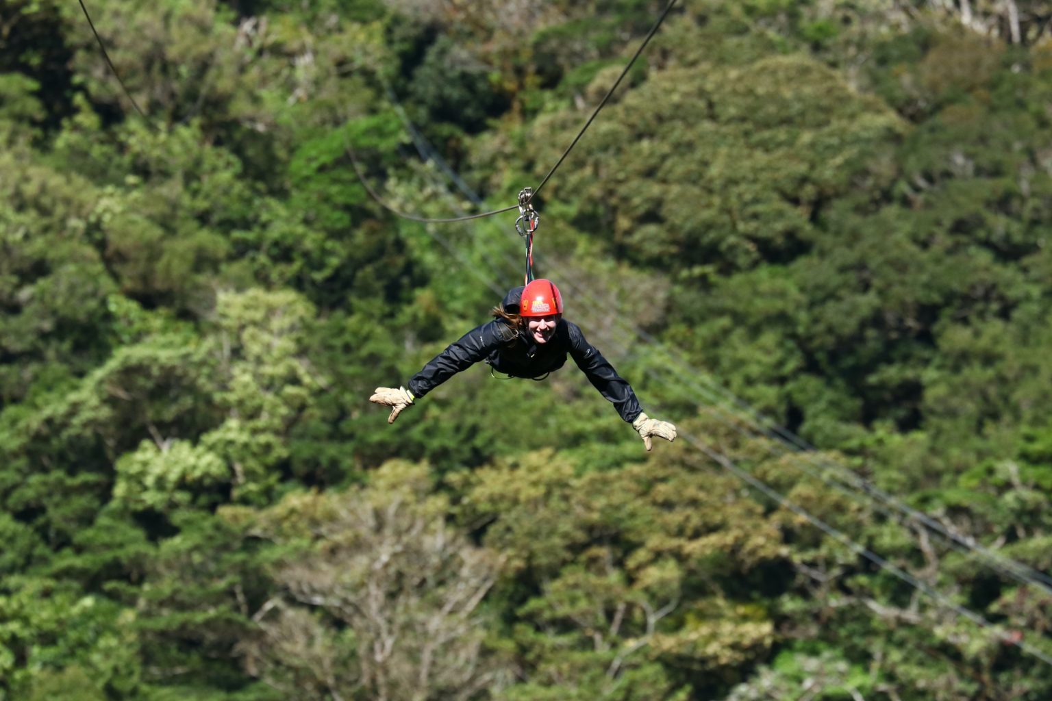 Monteverde Cloud Forest Zip Line: The Ultimate Costa Rica Adventure ...