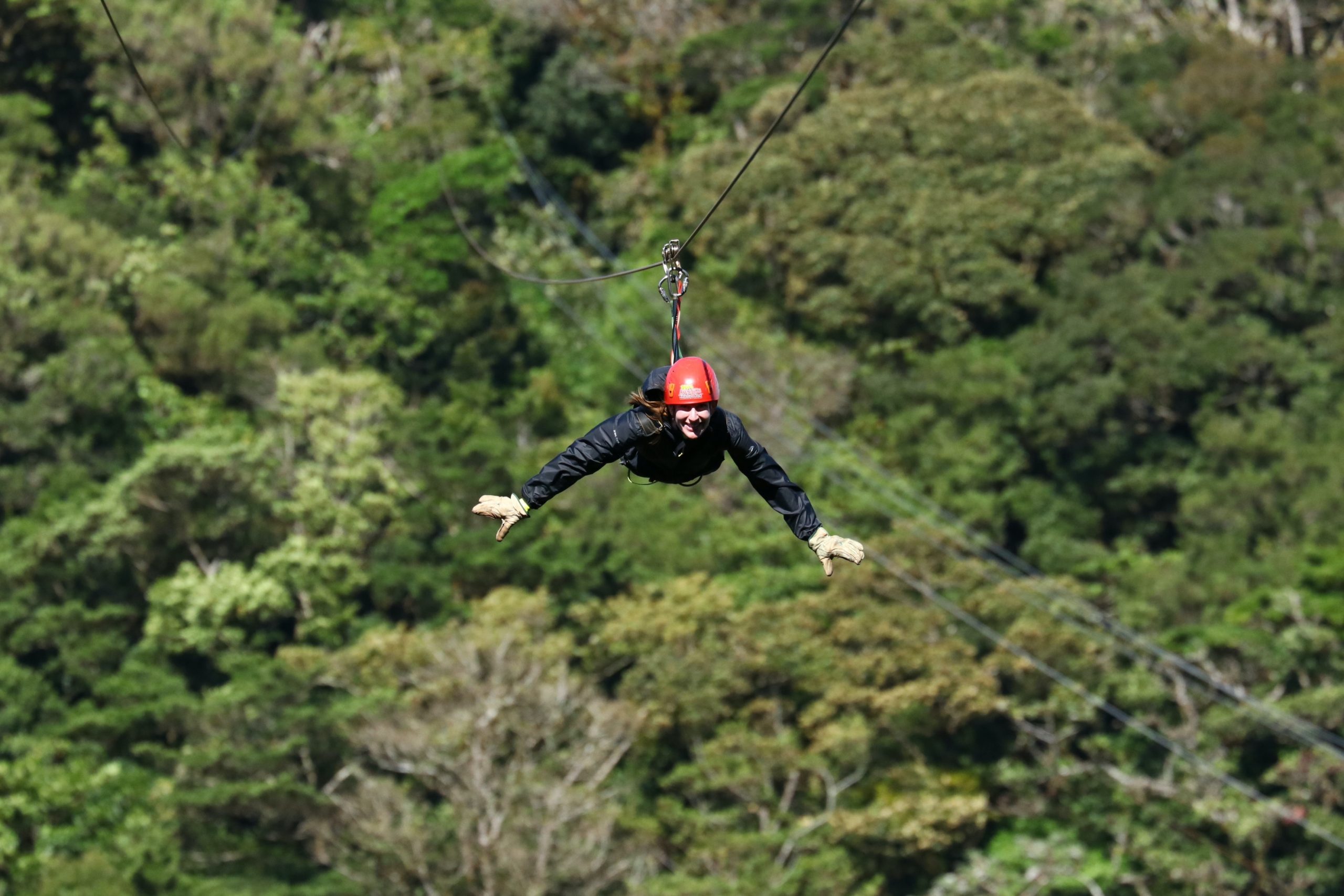 Monteverde Cloud Forest Zip Line: The Ultimate Costa Rica Adventure